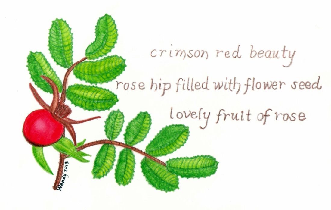 Rose Hip Haiga