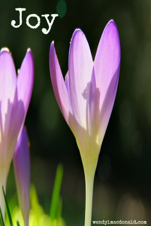 Sorrows Turned to Joy Infertility/Adoption Memoir Story Wendy L. Macdonald 