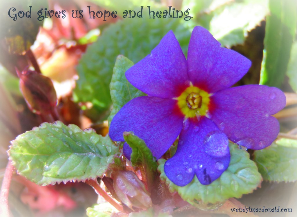 Five Ways to Fan the Flames of Faith by Wendy L. Macdonald