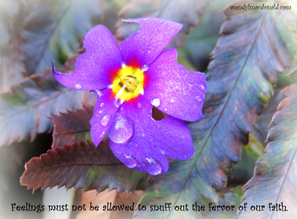 Five Ways to Fan the Flames of Faith by Wendy L. Macdonald