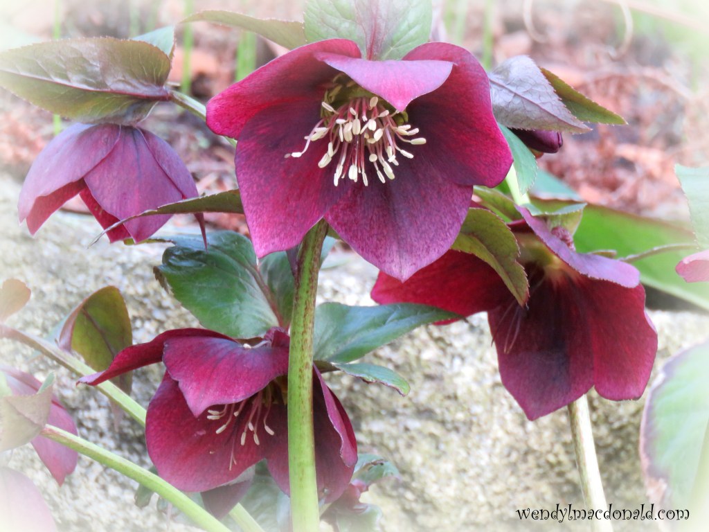 Five Ways to Fan the Flames of Faith