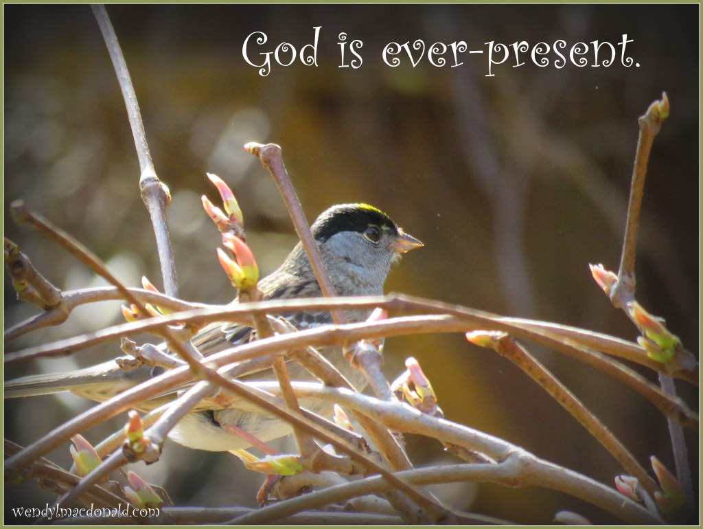 Five Ways to Fan the Flames of Faith: Part Three Wendy L. Macdonald blog