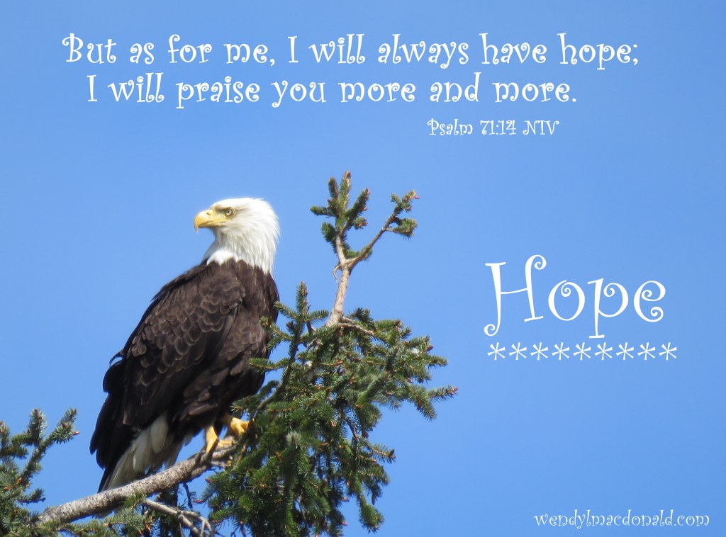 Five Ways to Fan the Flames of Faith: Part Four Wendy L. Macdonald blog