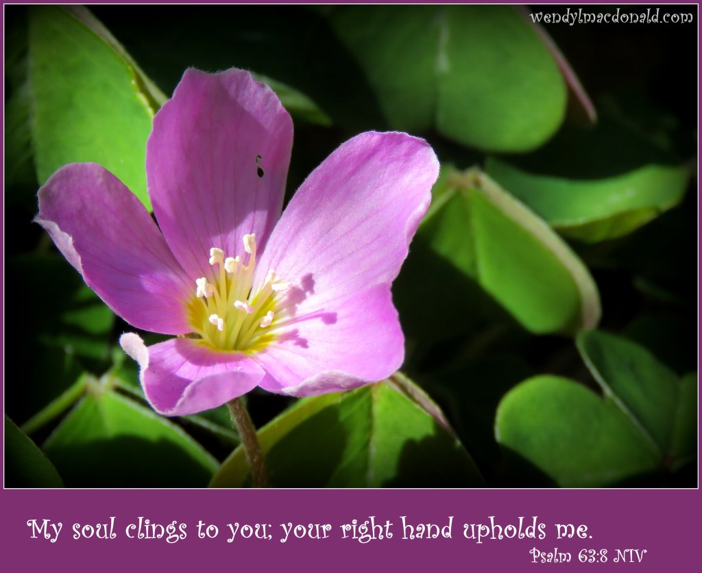 Five Ways to Fan the Flames of Faith: Part Four Wendy L. Macdonald blog