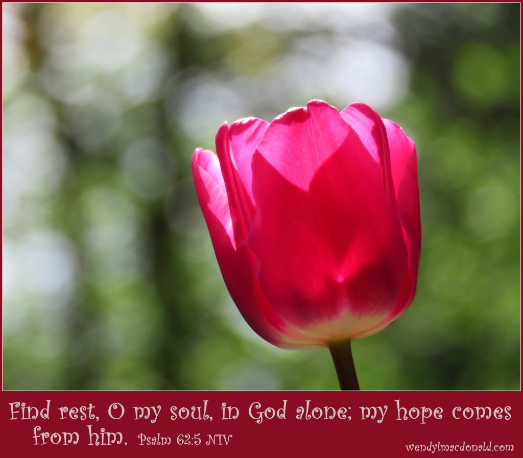 Five Ways to Fan the Flames of Faith: Part Four Wendy L. Macdonald blog