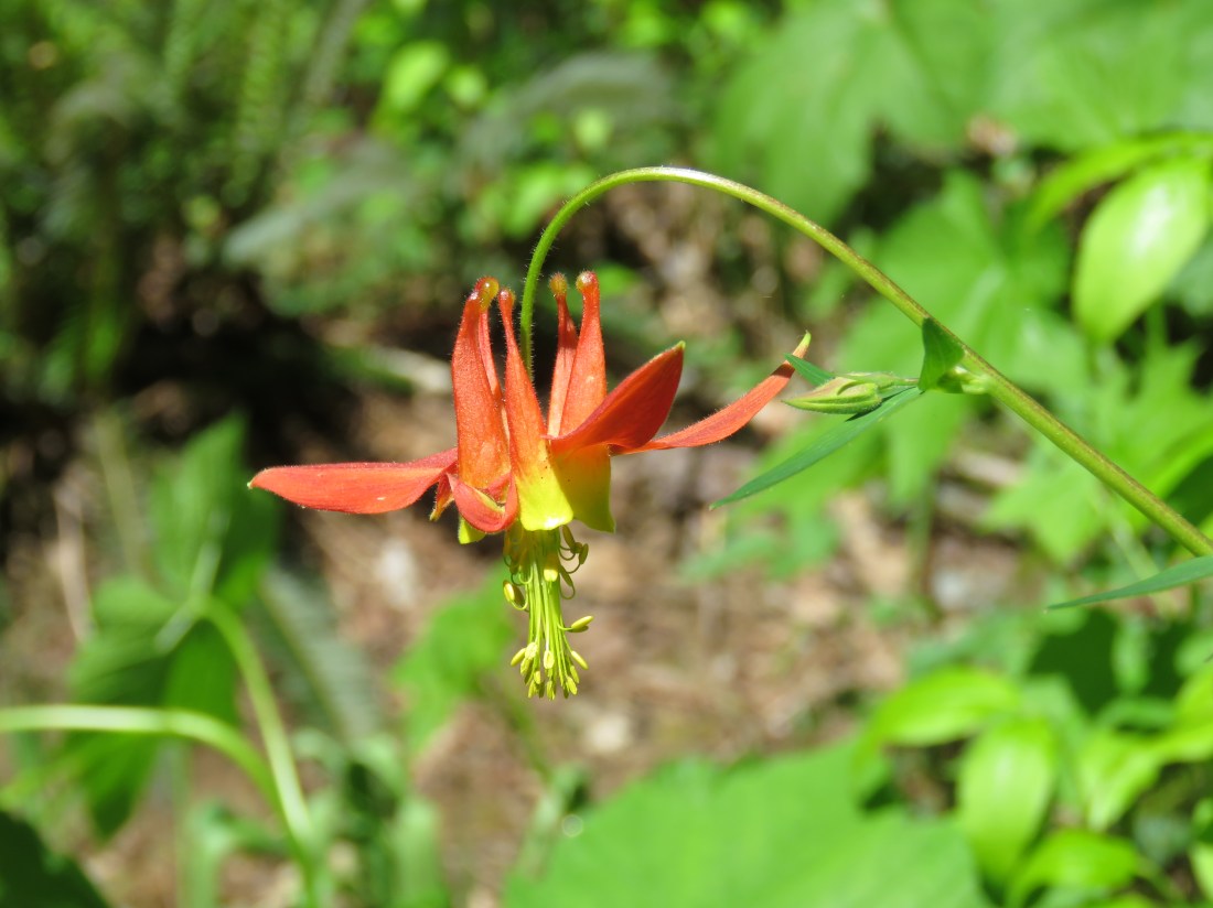 What My Recent Brush with Death Taught Me Wendy L. Macdonald blog memoir