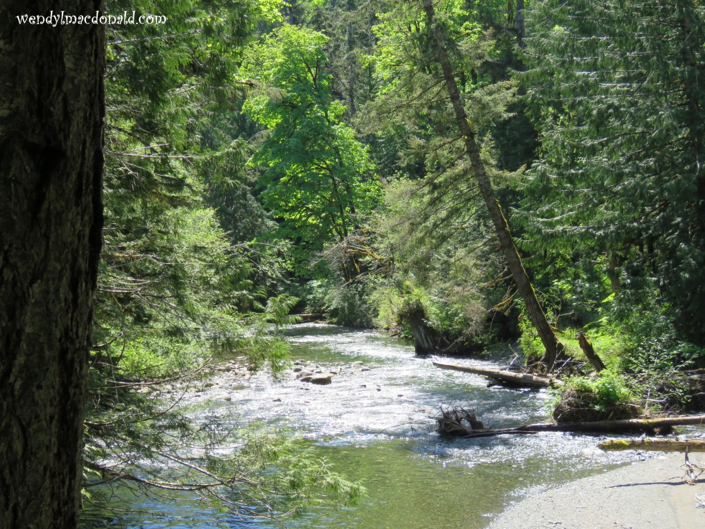 What My Recent Brush with Death Taught Me Wendy L. Macdonald blog memoir 