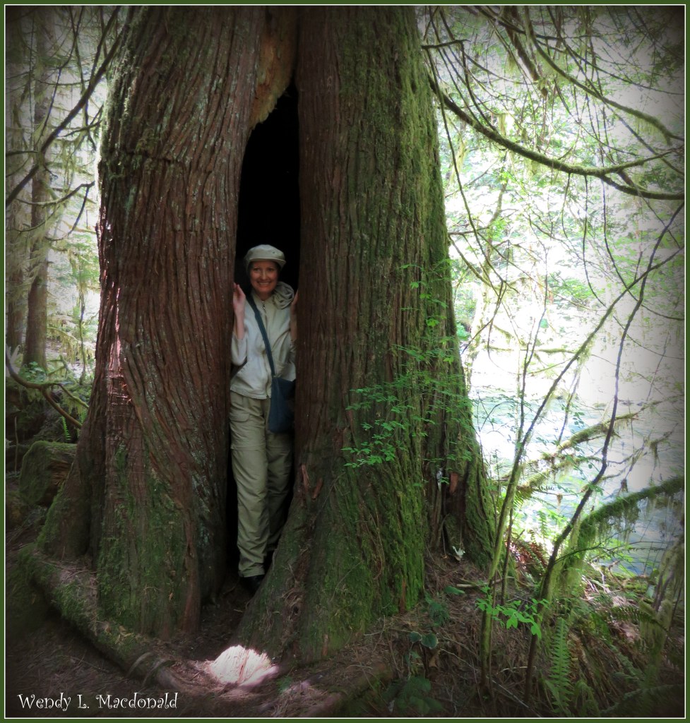 What My Recent Brush with Death Taught Me Wendy L. Macdonald blog memoir 