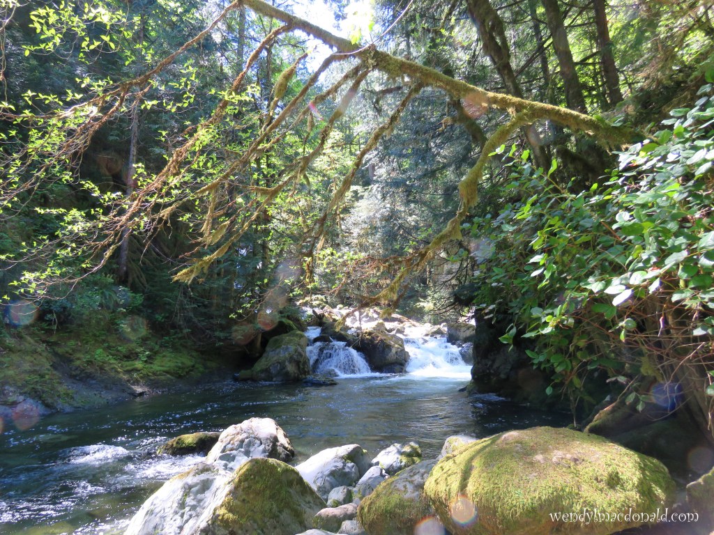 What My Recent Brush with Death Taught Me Wendy L. Macdonald blog memoir 