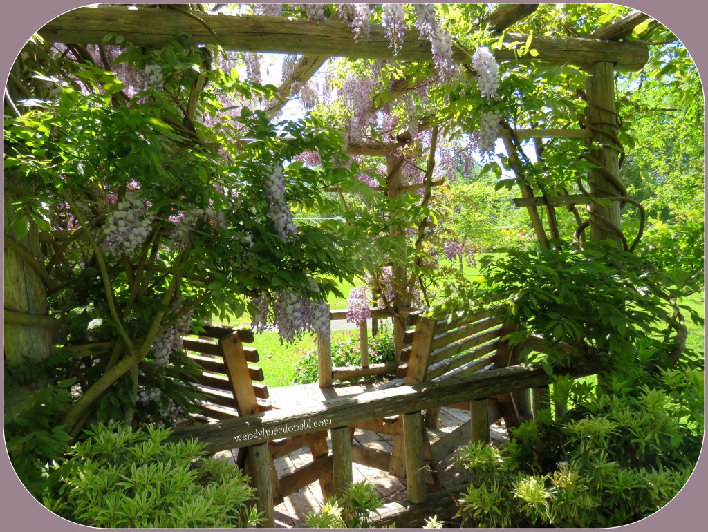 Is God Happy? How Writing My Memoir Answered This Question by Wendy L. Macdonald for Kathleen Pooler's blog