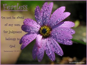 A Special Annoucement: I'm Published! (Enter to Win a Copy) Wendy L. Macdonald