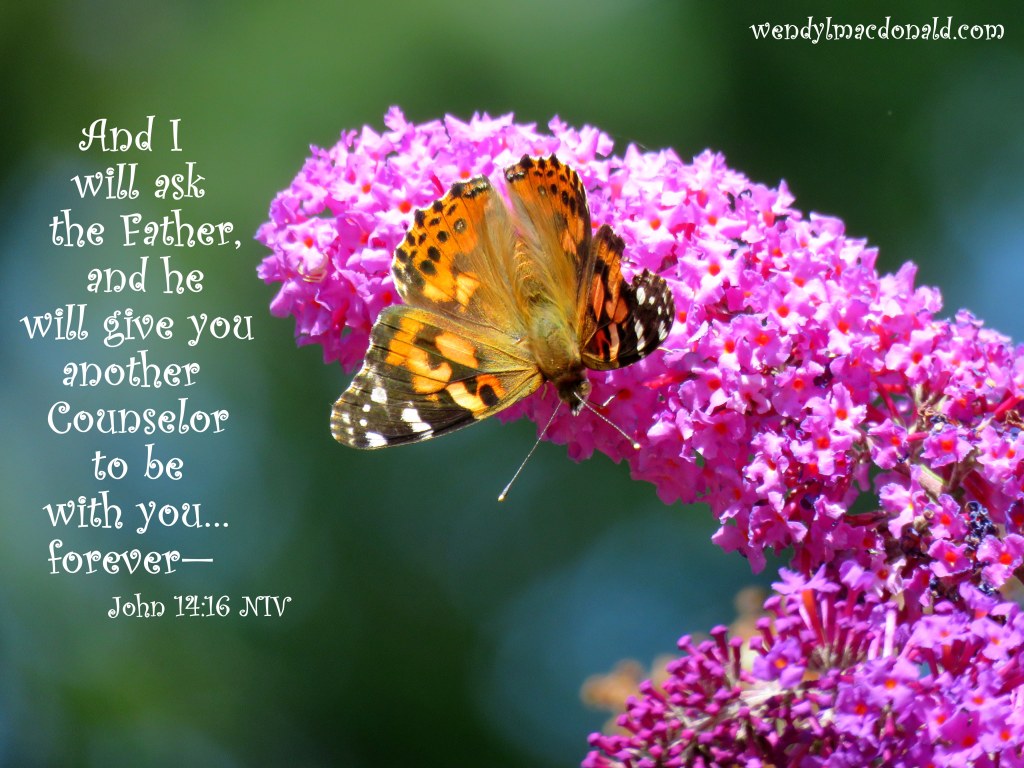 What Kind of God Do You Believe In? Wendy L. Macdonald 