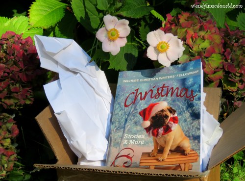 Feathered Fruits of Birdwatching in My Garden by Wendy L. Macdonald wendylmacdonald.com