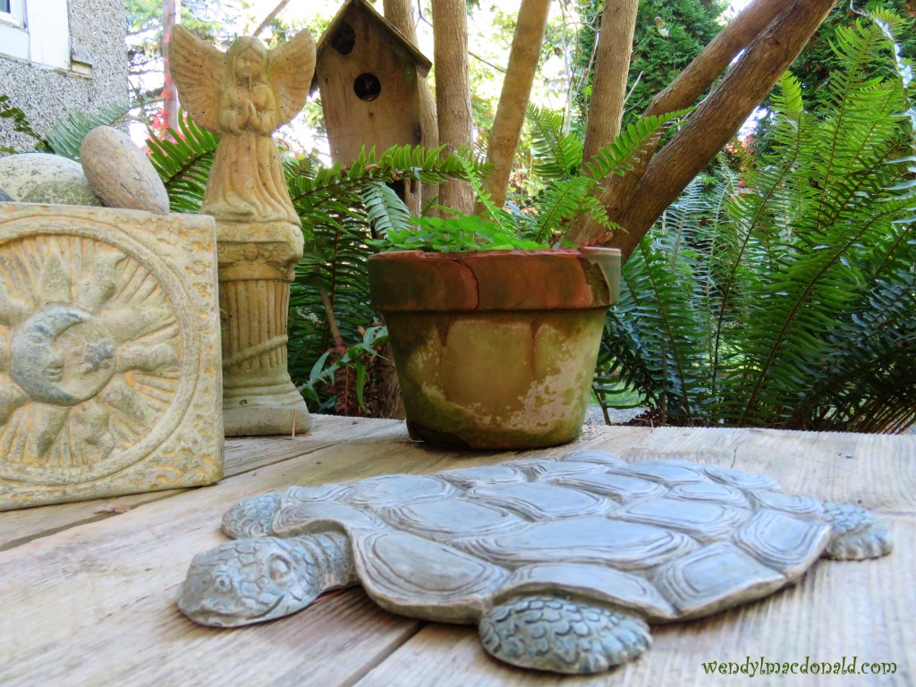 Myrtle the Purple Turtle by Cynthia Reyes #loveyourshell book review by wendy l macdonald