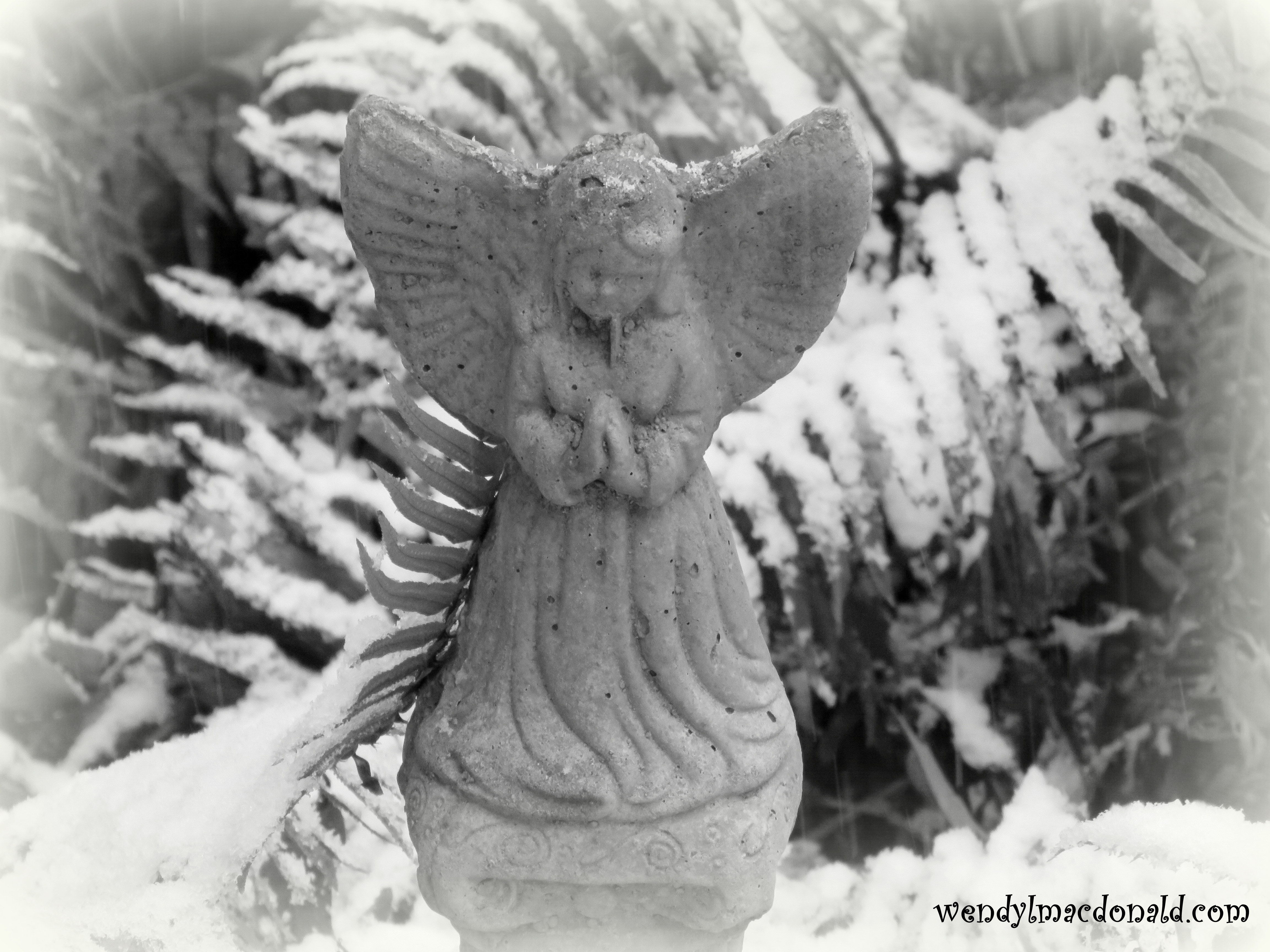 Christmas Prayer & Memoir Podcast wendylmacdonald.com HopeStreamRadio.com