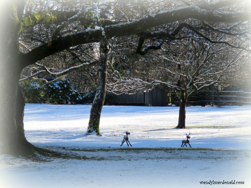 Prayer for the Discouraged Wendy L. Macdonald This is my prayer: that your love may abound more and more in knowledge and depth of insight. Philippians 1:9