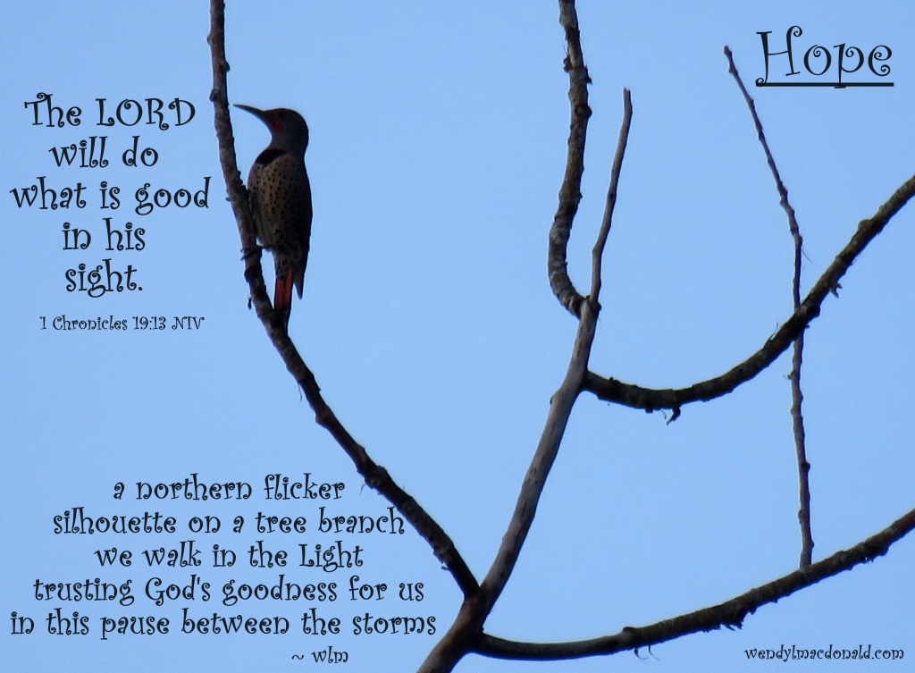 God is Good #tanka by Wendy L. Macdonald with northern flicker image greenlightlady.wordpress.com