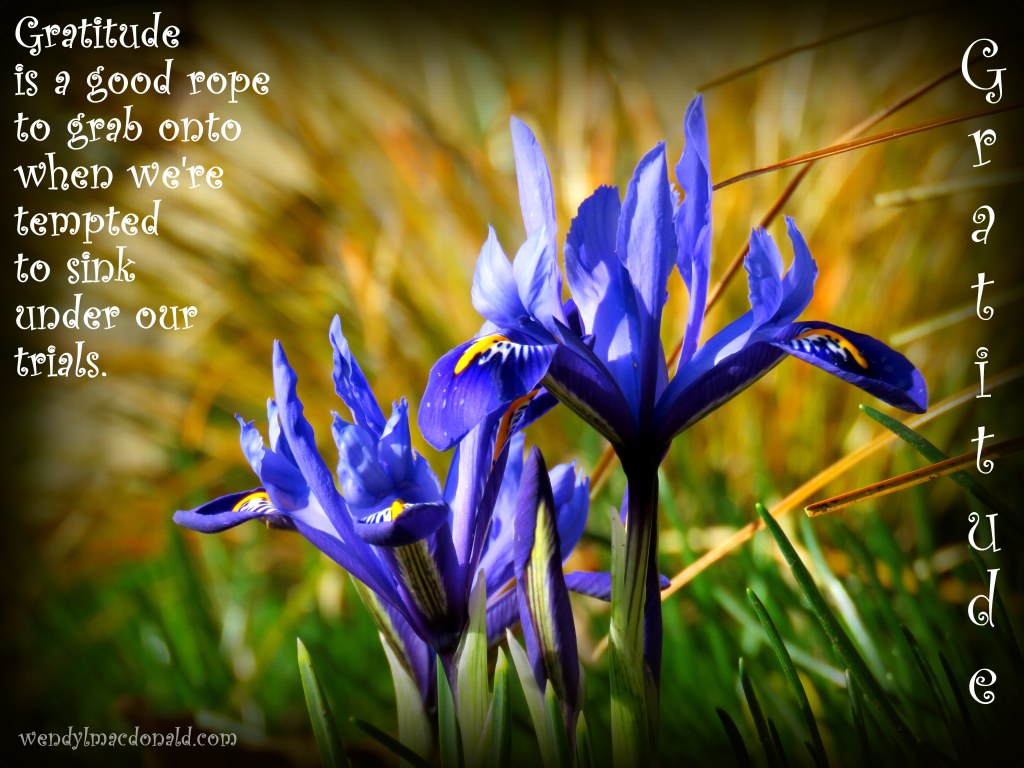 It's not in the rush, but in the hush, we hear Him speak.