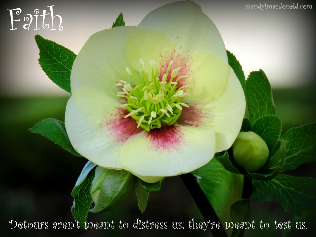 Serenity Quotes and Poems for the Writer's Heart www.wendylmacdonald.com 