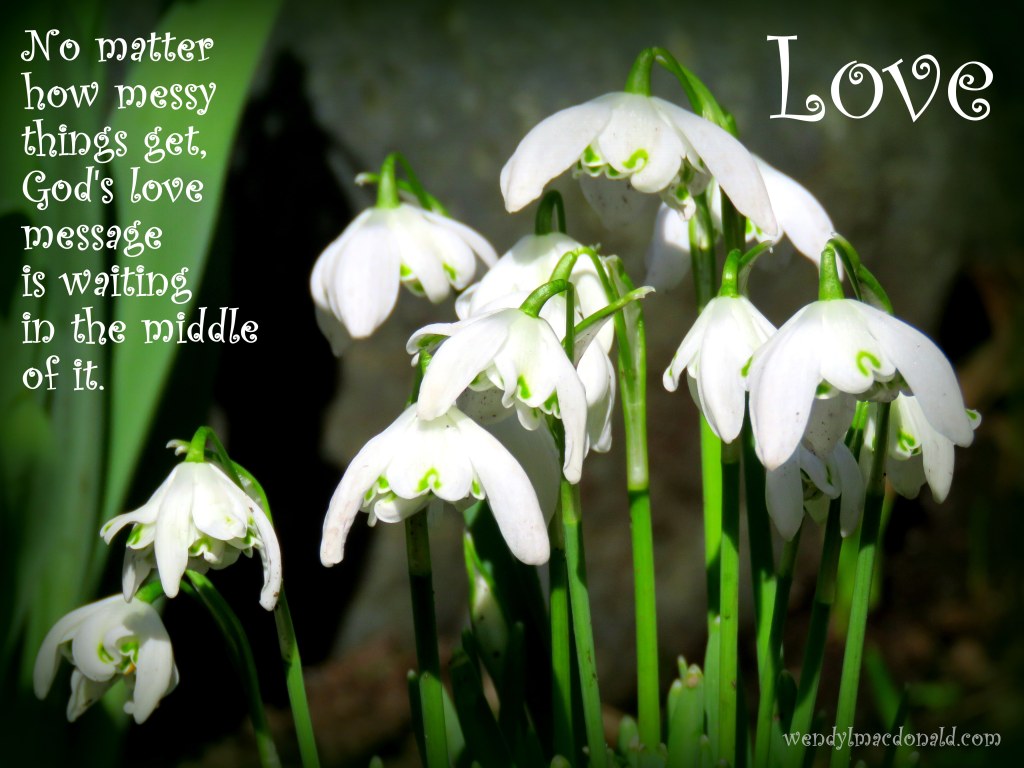 Serenity Quotes and Poems for the Writer's Heart www.wendylmacdonald.com 