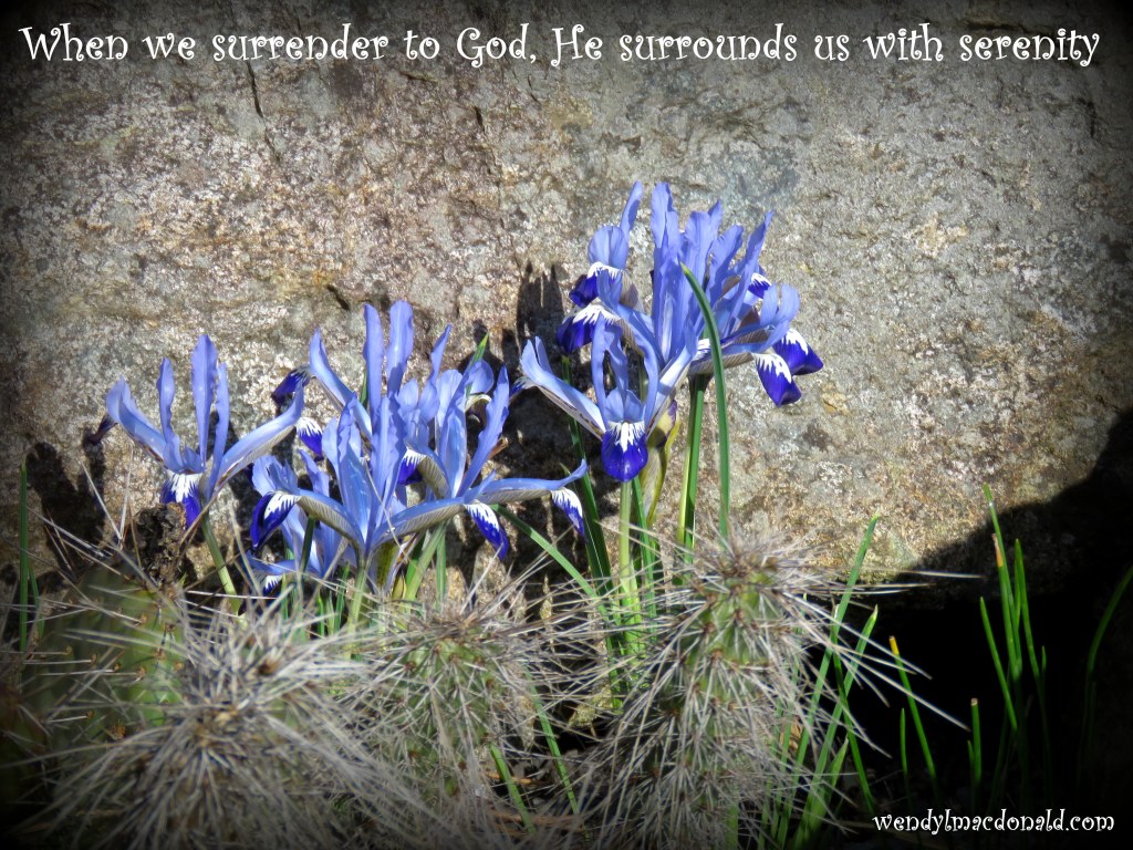 Serenity Quotes and Poems for the Writer's Heart www.wendylmacdonald.com 