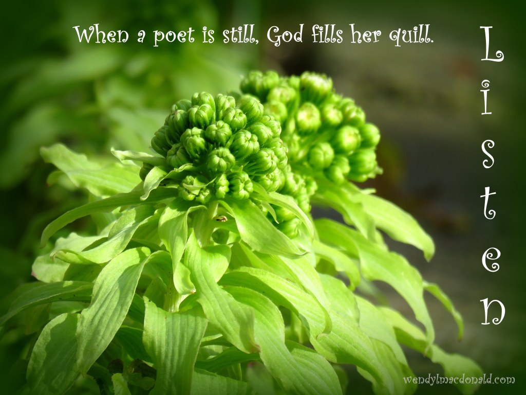 Serenity Quotes and Poems for the Writer's Heart www.wendylmacdonald.com 