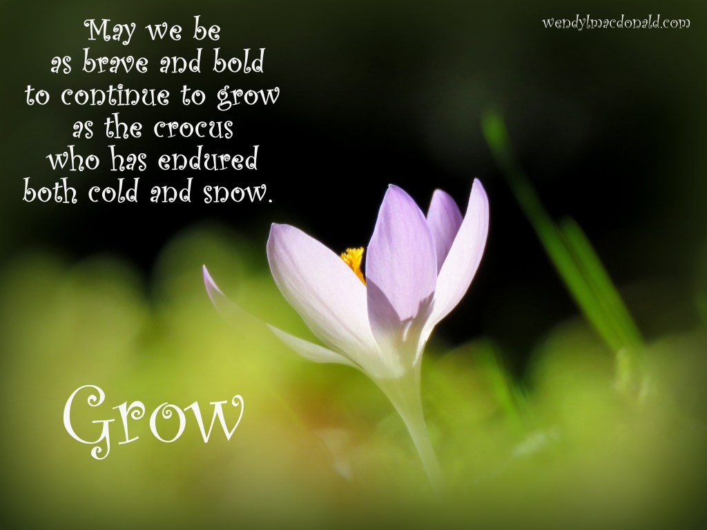 Serenity Quotes and Poems for the Writer's Heart www.wendylmacdonald.com 