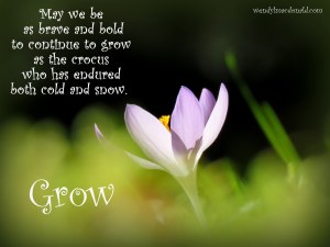 Serenity Quotes and Poems for the Writer's Heart www.wendylmacdonald.com