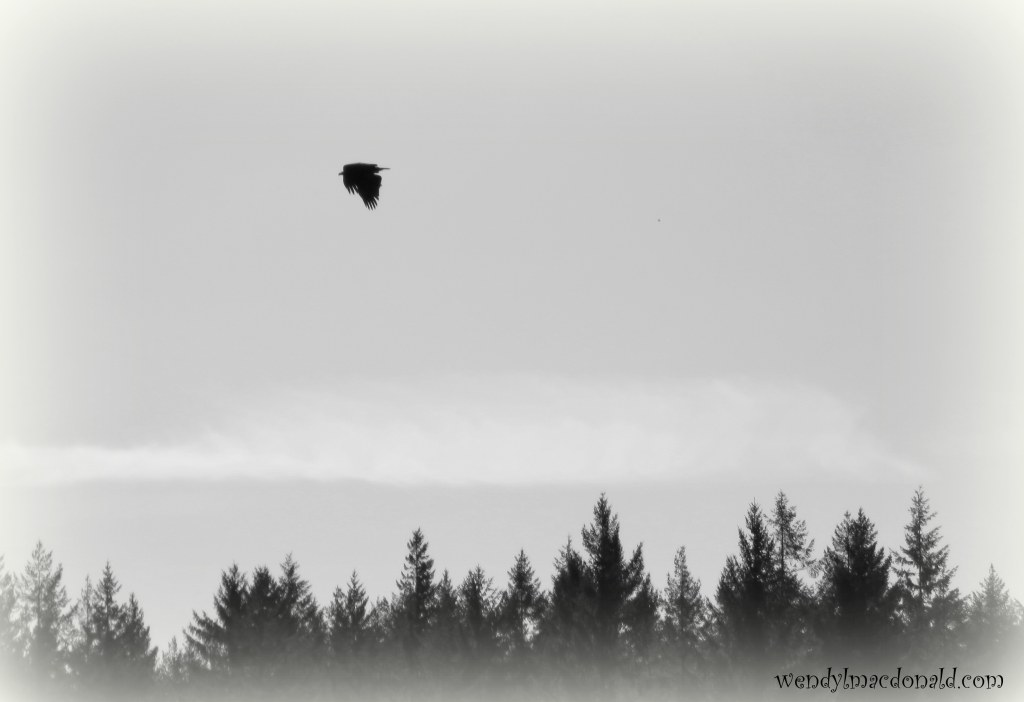 Do Not Fear—But Pray Wendy L. Macdonald 