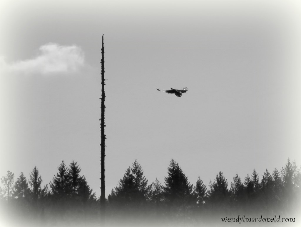 Do Not Fear—But Pray Wendy L. Macdonald 