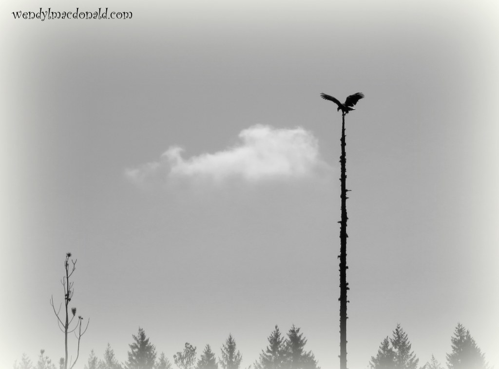 Do Not Fear—But Pray Wendy L. Macdonald 