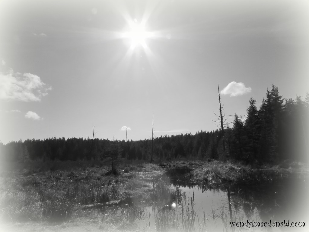 Do Not Fear—But Pray Wendy L. Macdonald 