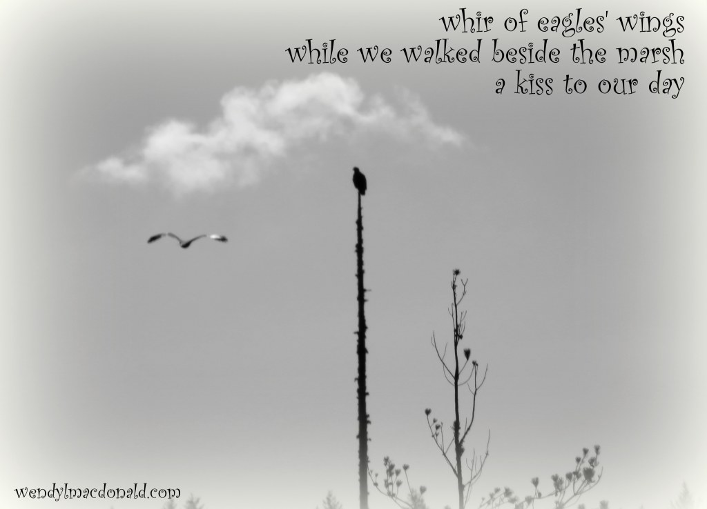 Do Not Fear—But Pray Wendy L. Macdonald 