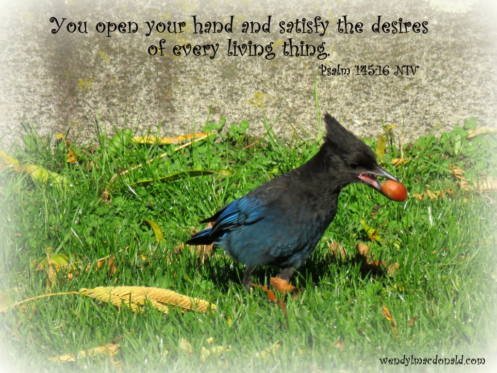 Cast Your Cares Devotional based on Psalm 55 by Wendy L. Macdonald wendylmacdonald.com