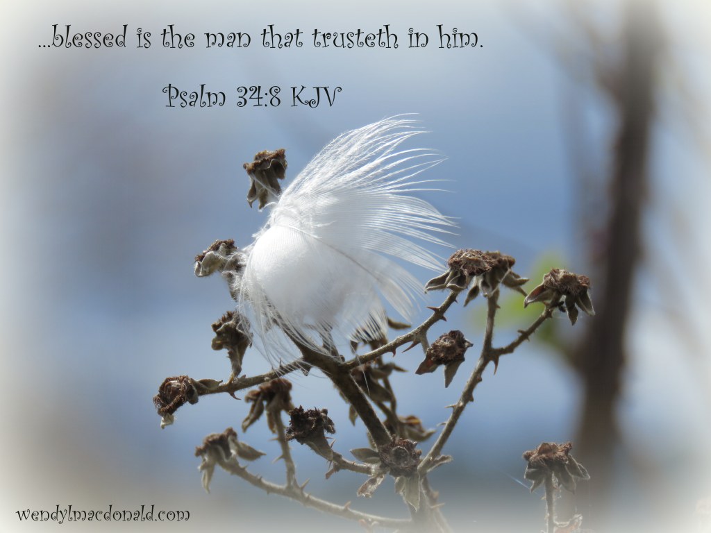 Spring Melt Poetry Devotional by Wendy L. Macdonald