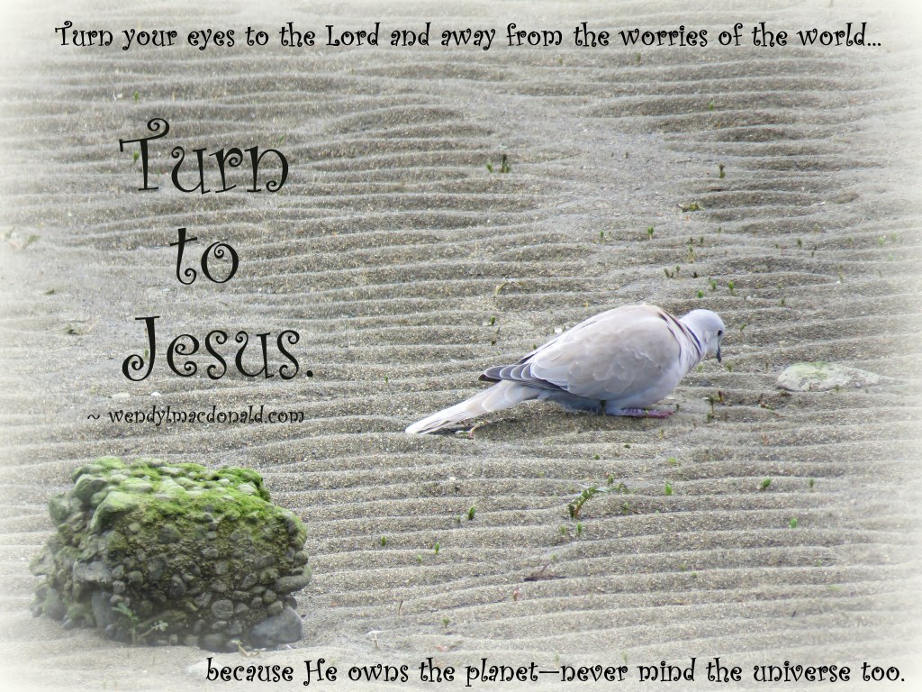 Spring Melt Poetry Devotional by Wendy L. Macdonald