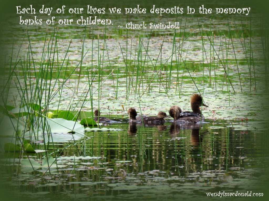 Adapting to Parenthood www.wendylmacdonald.com 