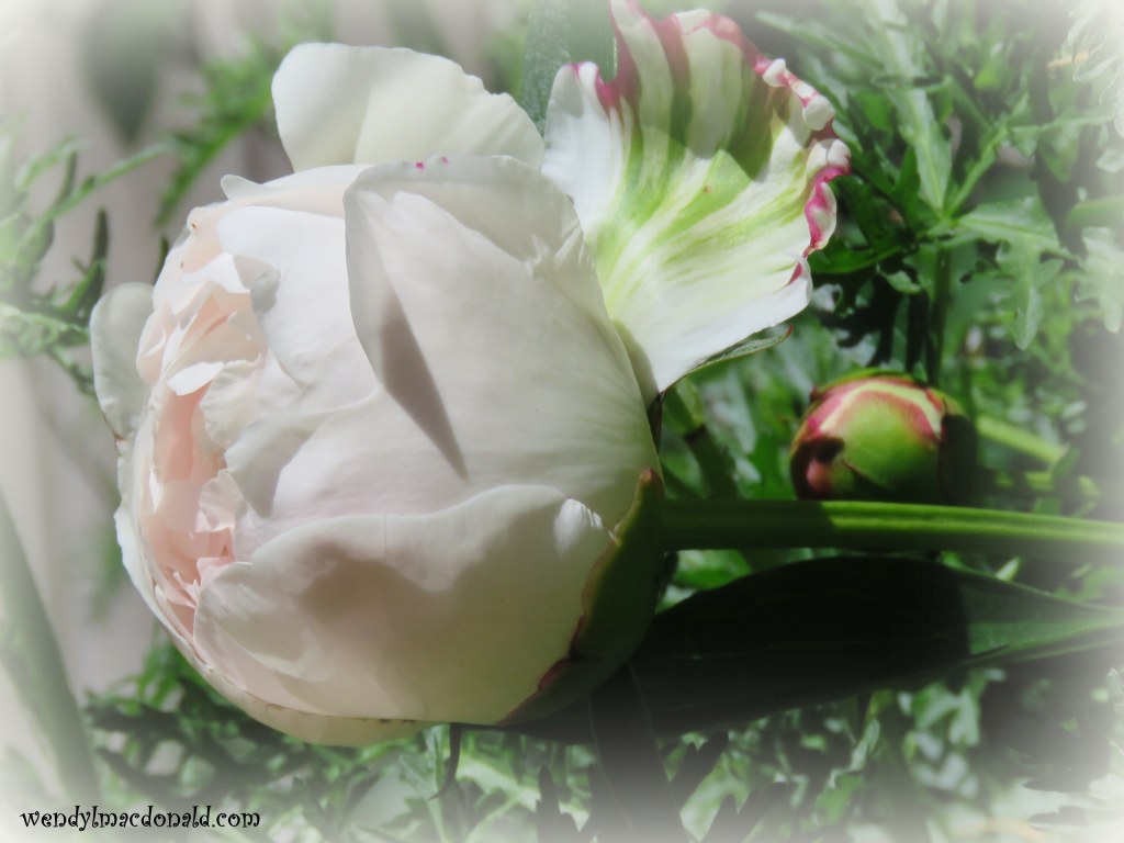 Return and Rest in the Lord WendyLMacdonald.com