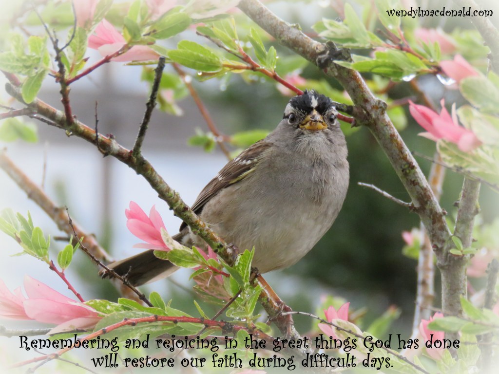 God Restores the Faithful Wendy L. Macdonald