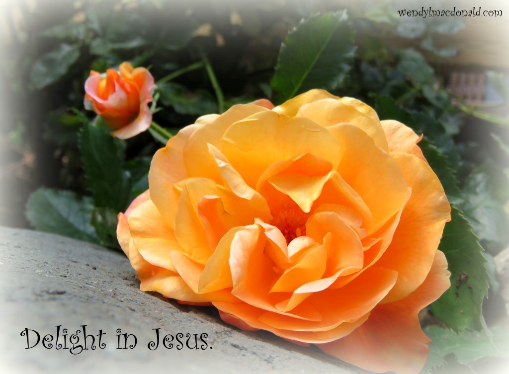 Our 35th Wedding Anniversary by Wendy L. Macdonald Roses, Memoir, and Poetry