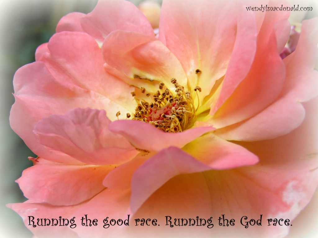 Our 35th Wedding Anniversary by Wendy L. Macdonald Roses, Memoir, and Poetry