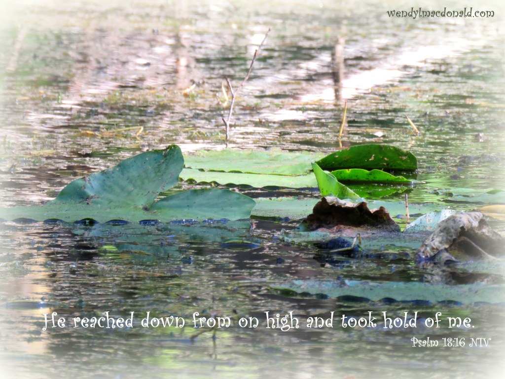 Real Love Rescued Me from Narcissism WendyLMacdonald.com