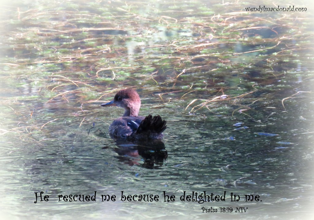 Real Love Rescued Me from Narcissism WendyLMacdonald.com