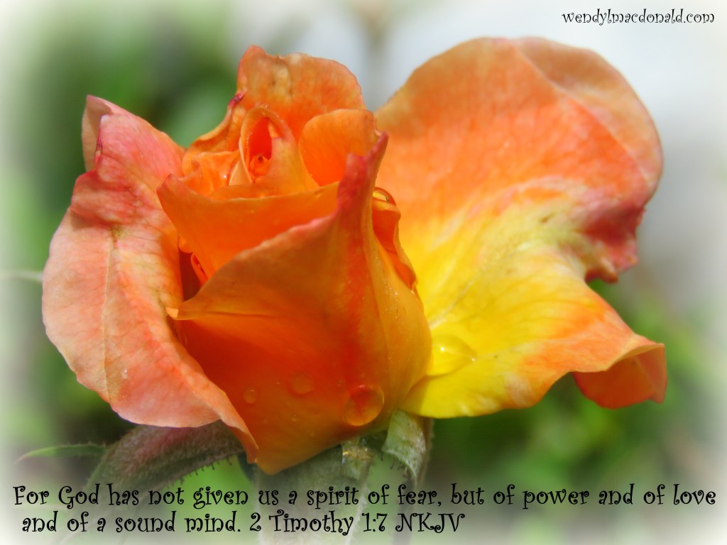 Rain Showers of Blessing WendyLMacdonald.com 