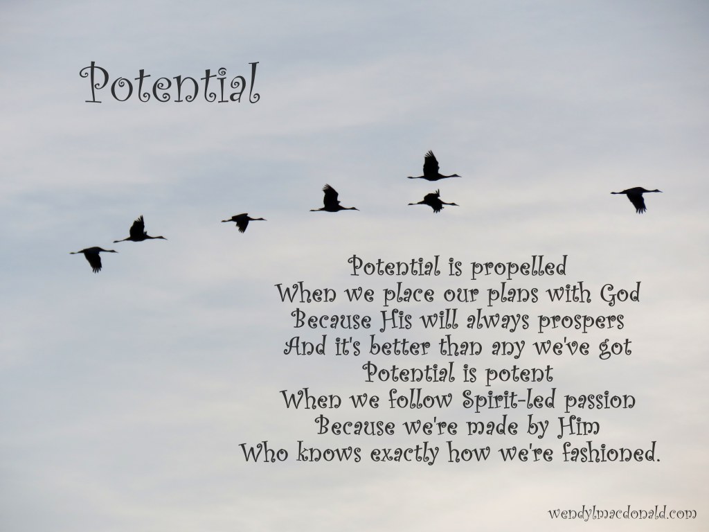 Potential is Propelled by Providence (Five Minute Friday) Wendy L. Macdonald
