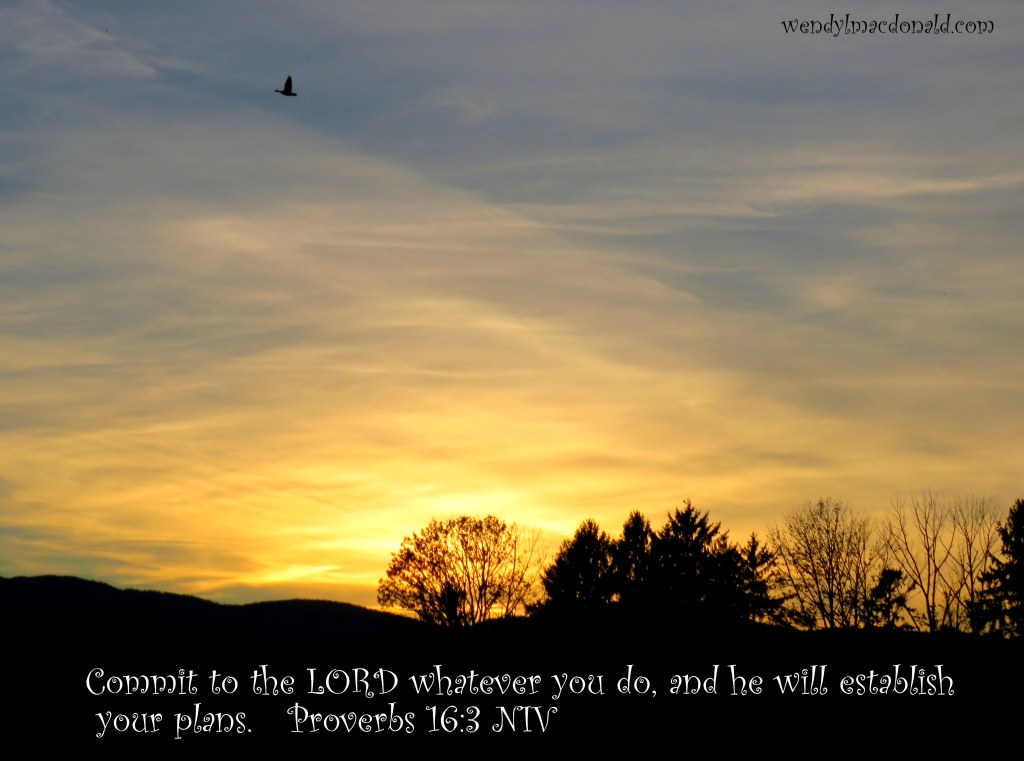 Potential is Propelled by Providence (Five Minute Friday) Wendy L. Macdonald