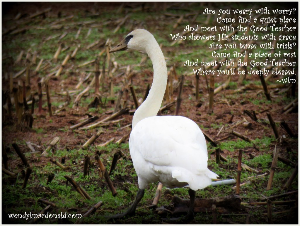 Come Away with Me to a Quiet Place Wendy L. Macdonald