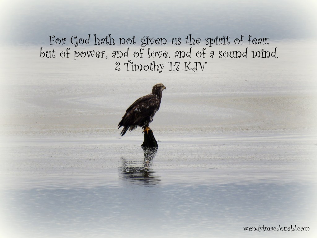 Rescued from the Deep #memoir wendylmacdonald.com