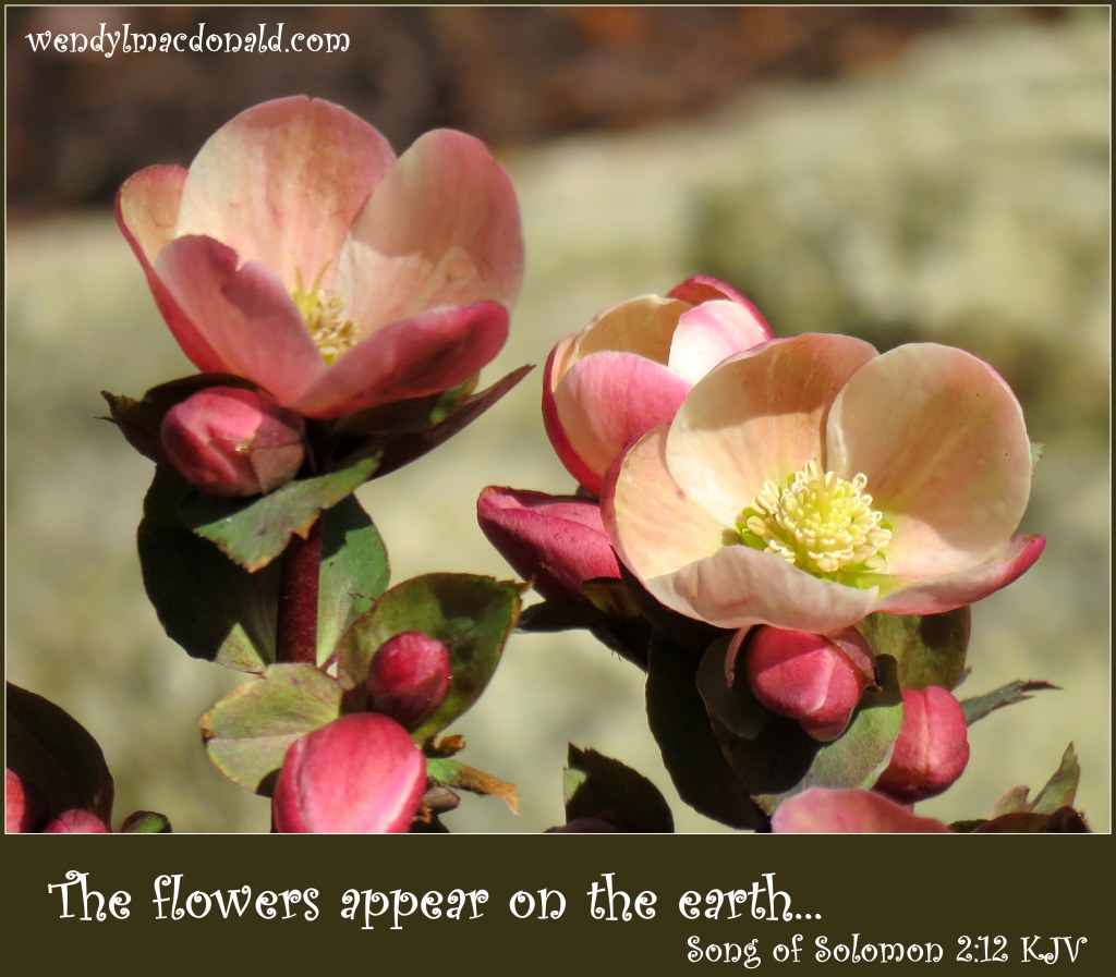 Searching for my Favorite Season wendylmacdonald.com