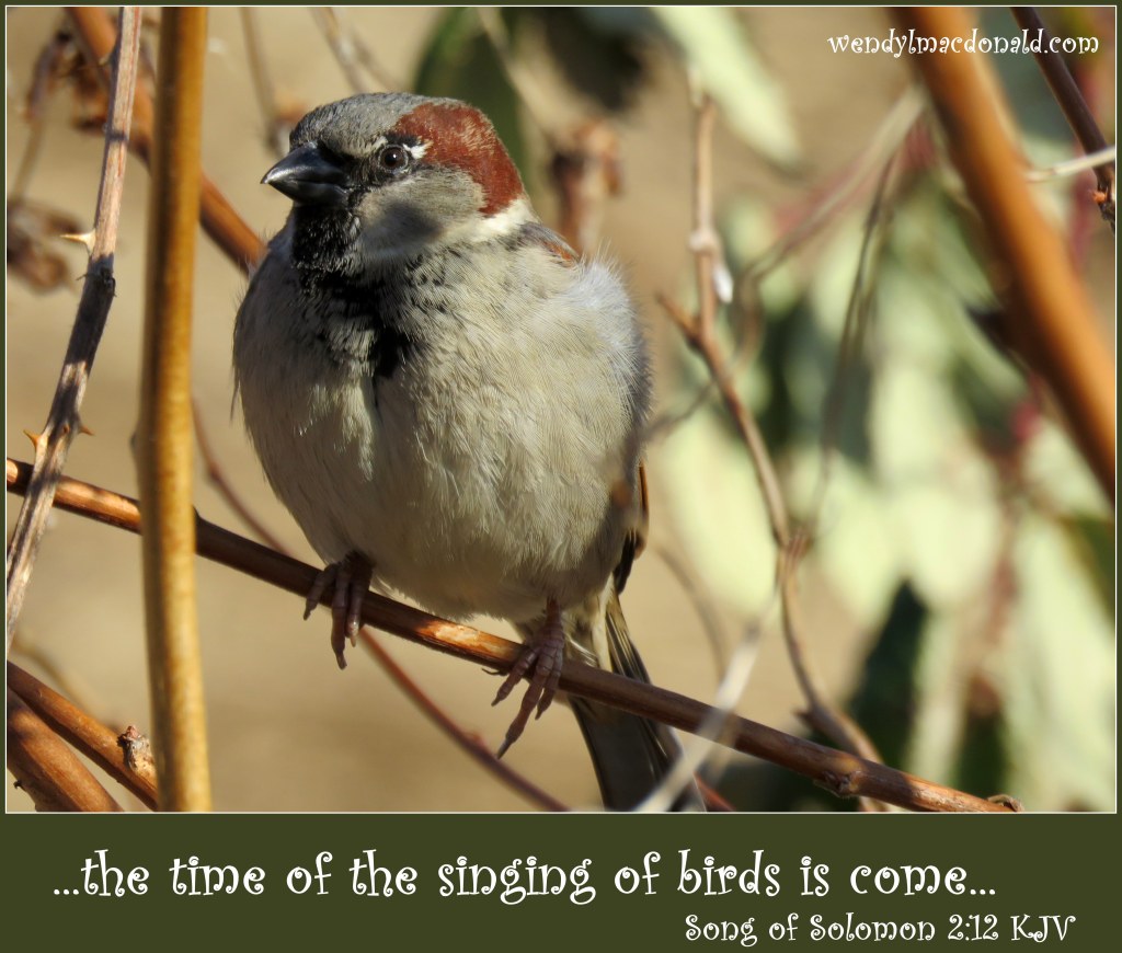 Searching for my Favorite Season wendylmacdonald.com